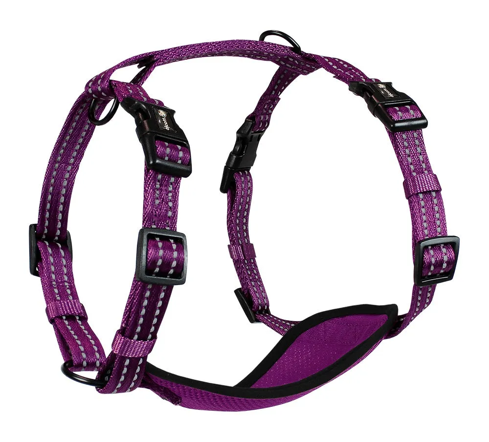 Adventure Harnesses