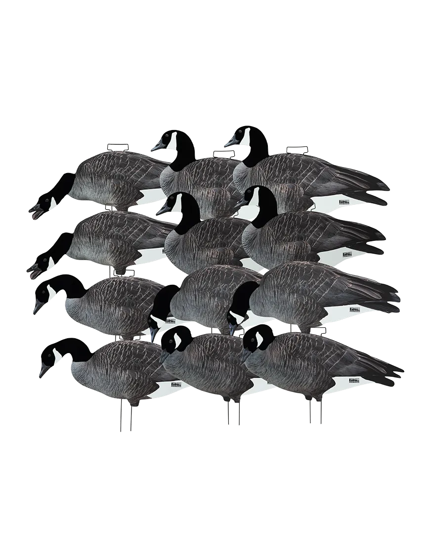 GHG FFD Canada Goose Silhouette Decoys