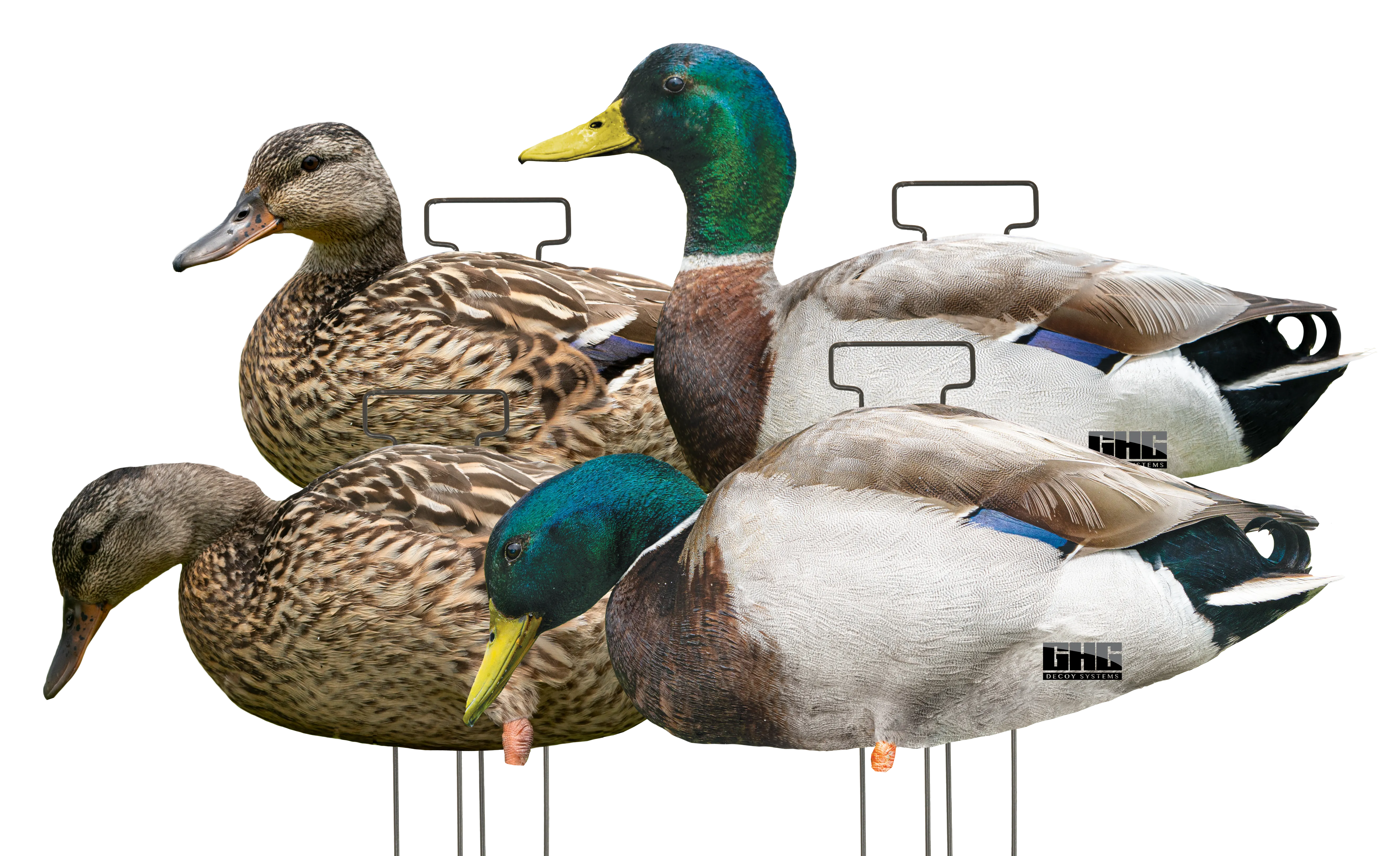 GHG Pro Grade FFD Mallard Duck Silhouette Decoys