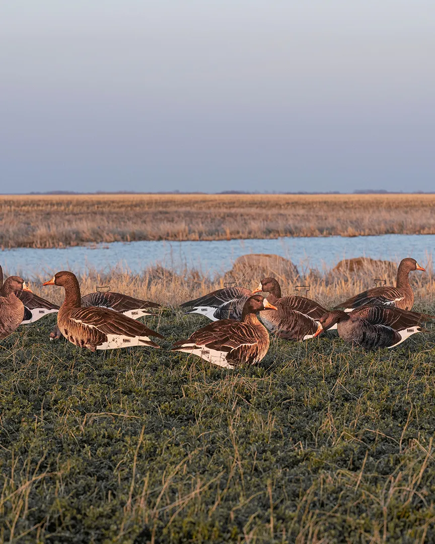 GHG Pro-Grade Silhouette Blue Goose Decoys