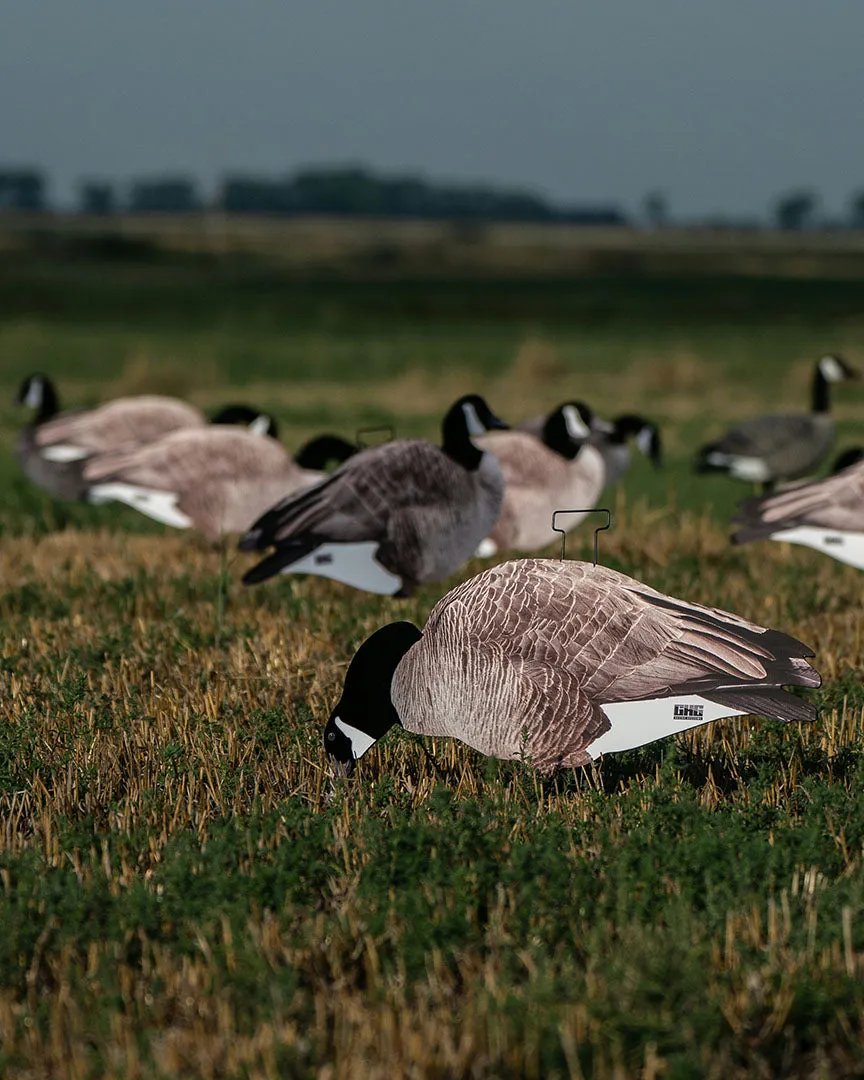 GHG Pro-Grade Silhouette Blue Goose Decoys