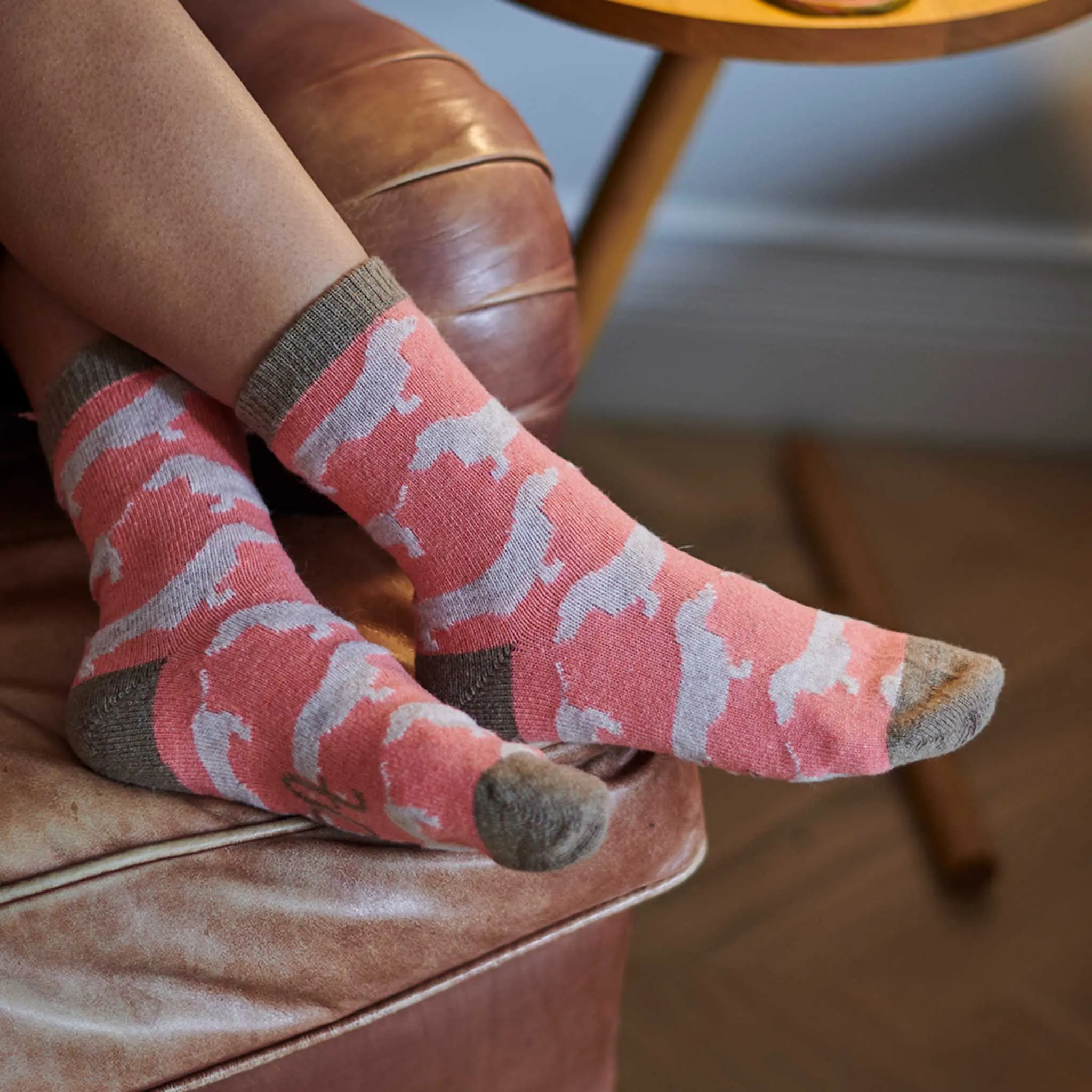 Ladies Coral Sausage Dog Lambswool Ankle Socks