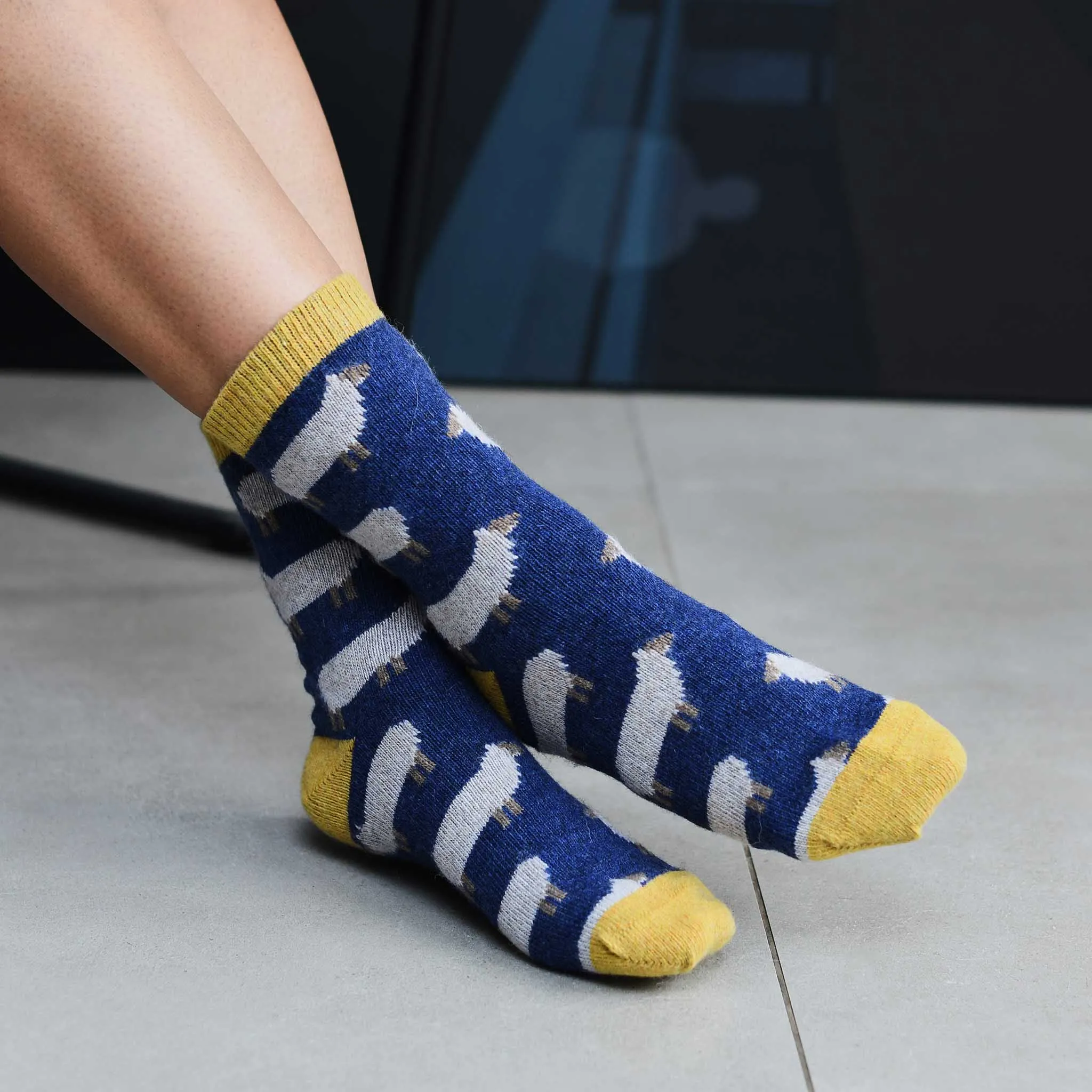 Ladies Navy Sheep Lambswool Ankle Socks