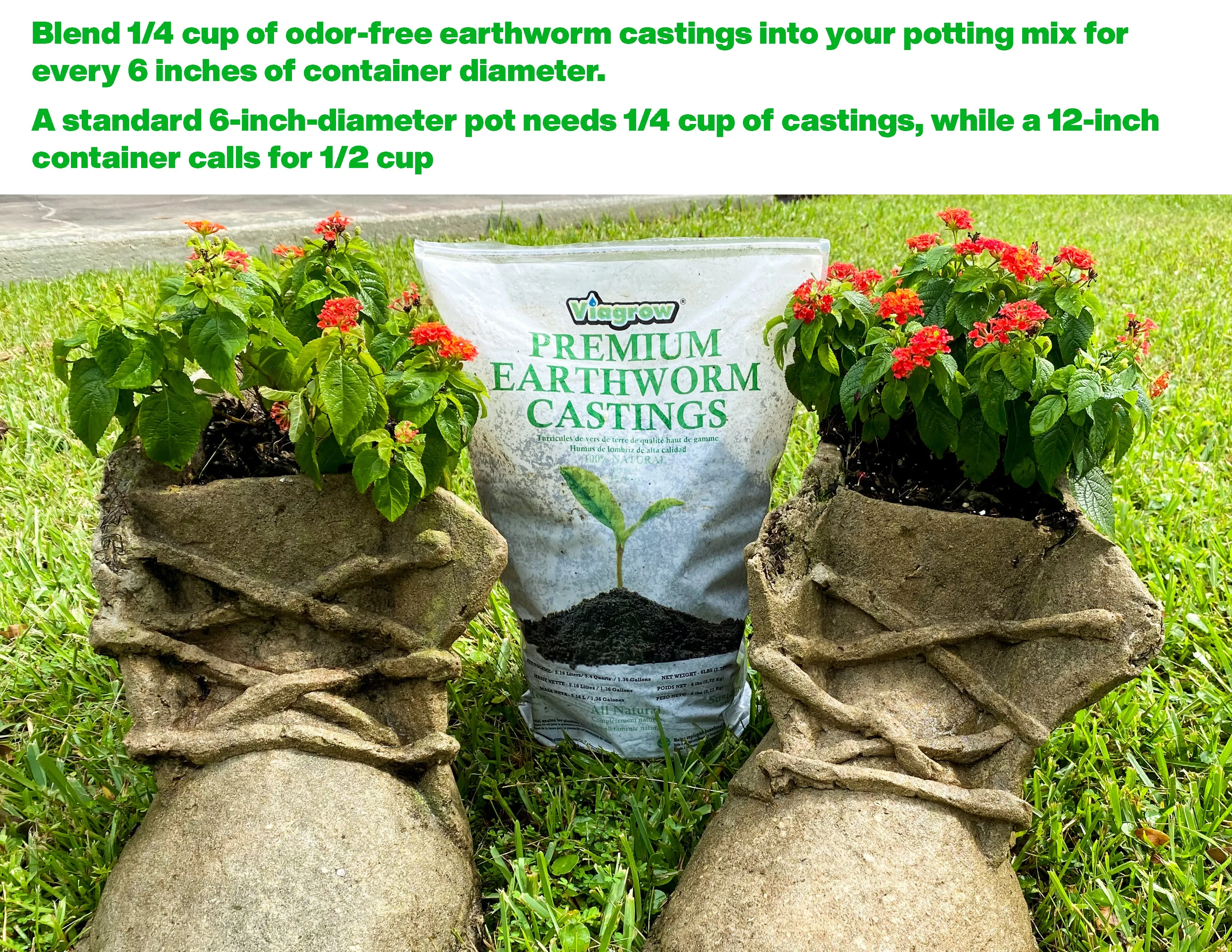 Viagrow 1LB Premium Earthworm Castings, Soil Builder, Soil Amendment (Case of 15)